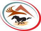 Allied Professional Movers